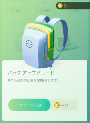 pokemongo-bag-745x1024
