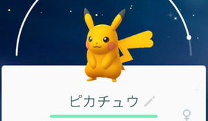 pokemon-go-park-irotigai-pikachu-1