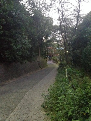 風景6