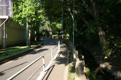 風景2