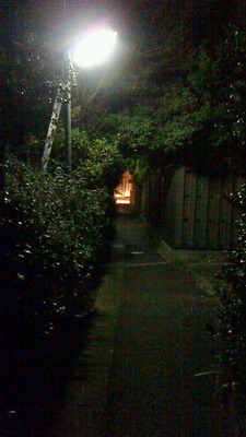 夜の路地裏