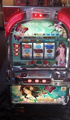 南国育ち 4号機