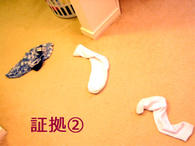 証拠2