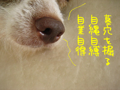 自業自得