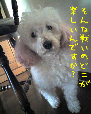 どこが楽しいの?