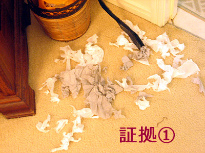 証拠1