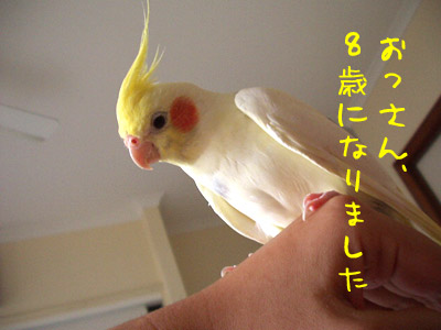 おっさん8歳
