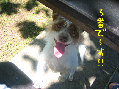 3番です