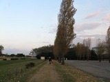 2725d892.jpg