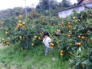 CIMG0249