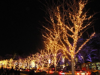 DSC00705