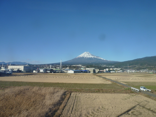 P1000252