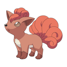 rokon