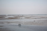 IMG_0501