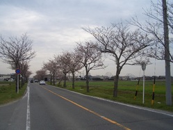 CIMG8199