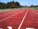 78a6f296.JPG