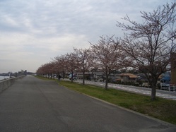 CIMG8192