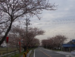 CIMG8198