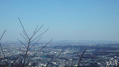 1210_見晴らし