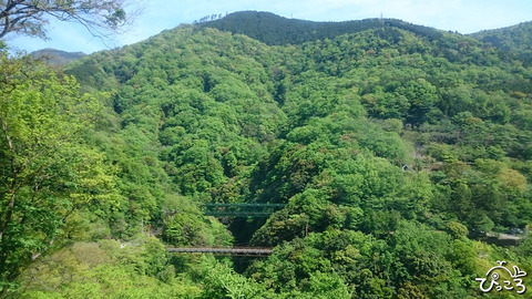190503_鉄橋