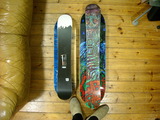 snow skate 6