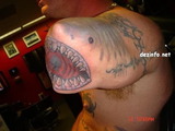shark
