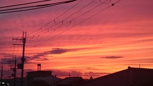 DSC_0076