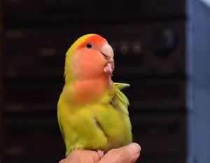 20140101