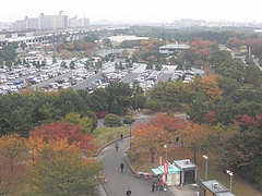 CIMG0225