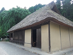 CIMG0876