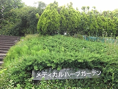 CIMG0917