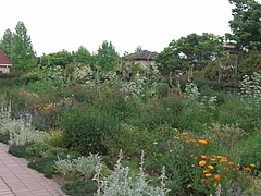 CIMG0921