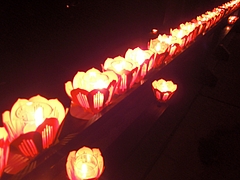 CIMG0645