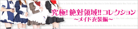 絶対領域!!コレクション