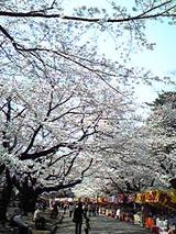 f8f0a607.JPG
