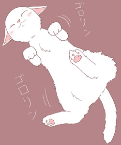 nekosana1
