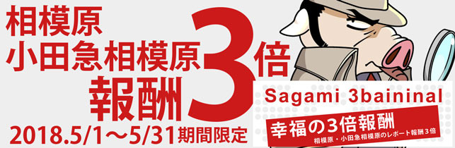 ５月レポ報酬３倍サガミサンバイニナル