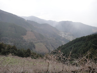 DSC06917