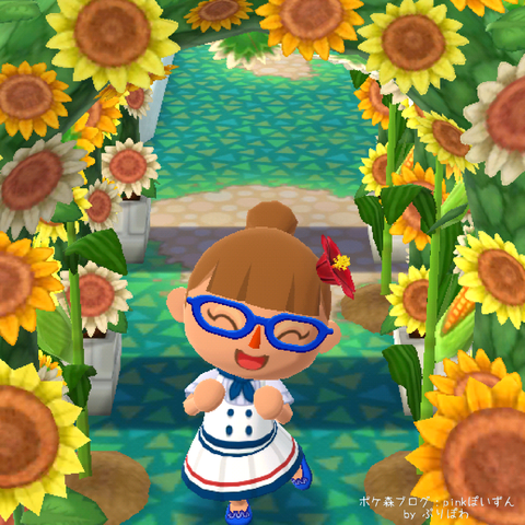 WaterMark_2018-07-13-11-28-09