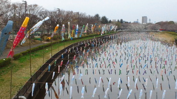 2013032406260000