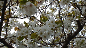 2012041706050000