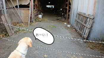 BlogPaint