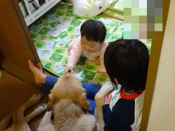 ブログ2