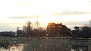 2012032006070000