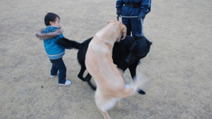 2012022217230000