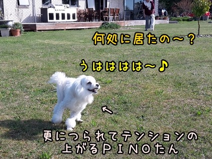 20170916_145523 (2)
