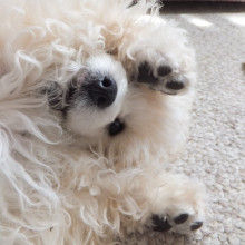 t02200220_0800080013153885738