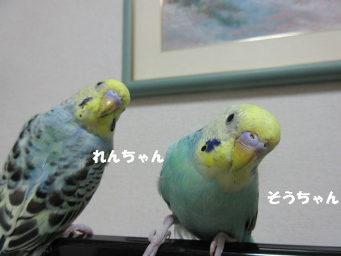 BlogPaint