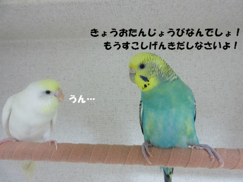 BlogPaint