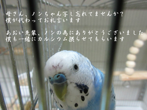BlogPaint